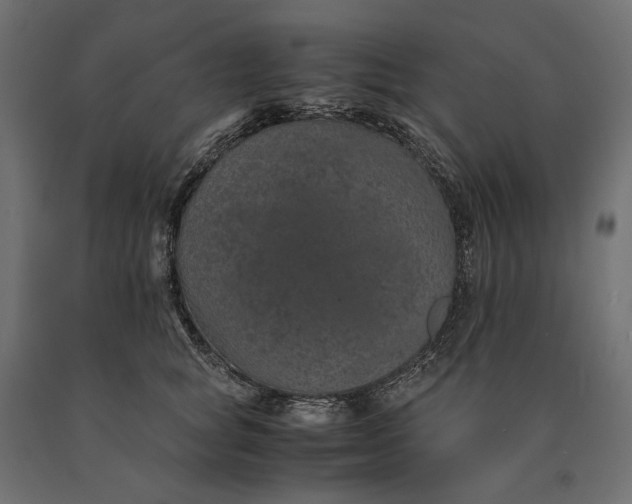 X0000090470757200708031304