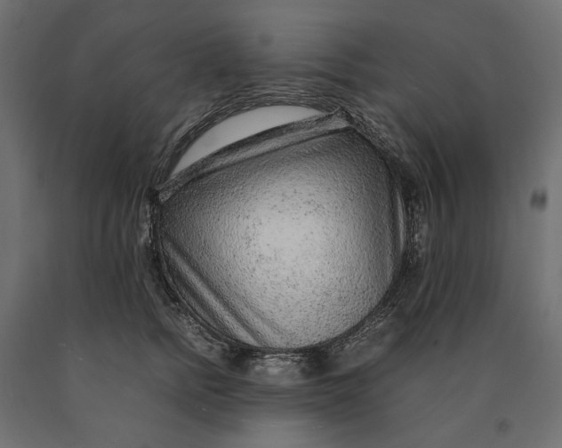 X0000090470758200708031304