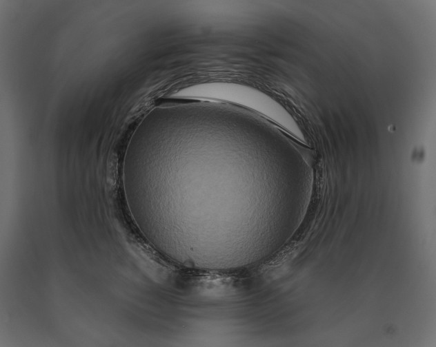 X0000090470760200708031304