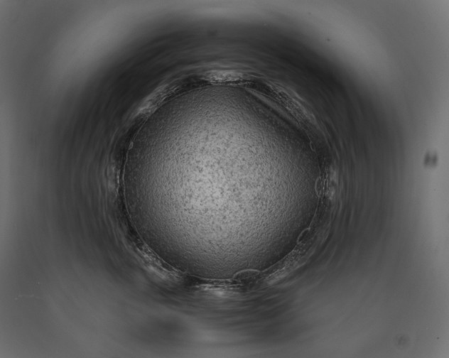 X0000090470763200708031304