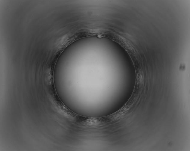 X0000090470764200708031304