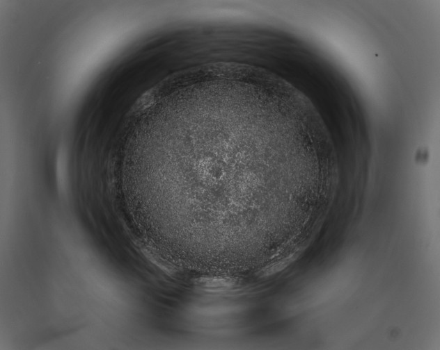 X0000090470765200708031304