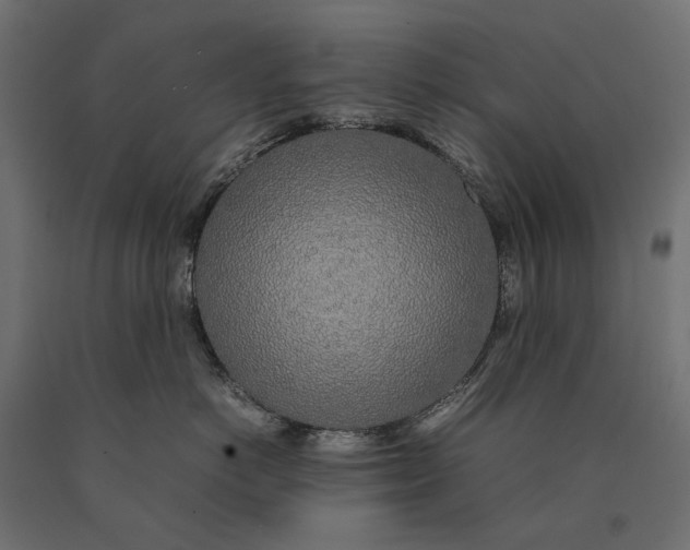 X0000090470766200708031305