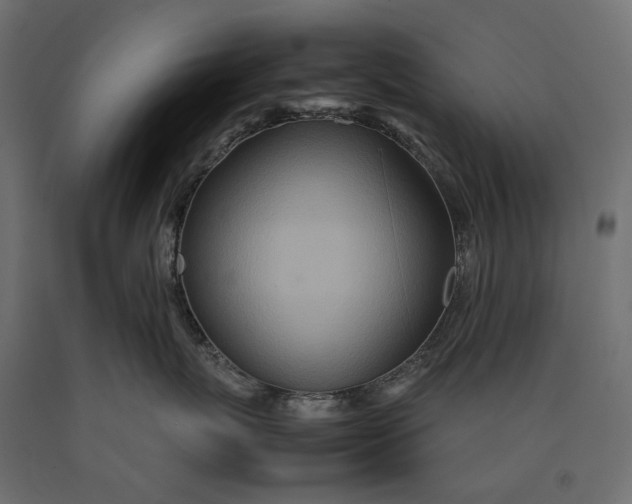 X0000090470767200708031305