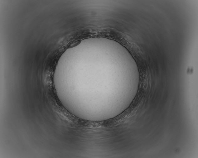 X0000090470770200708031304