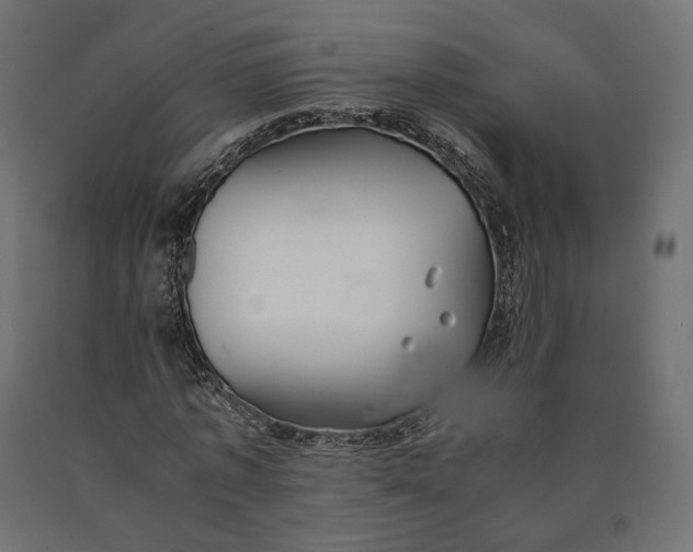 X0000090470773200708031304