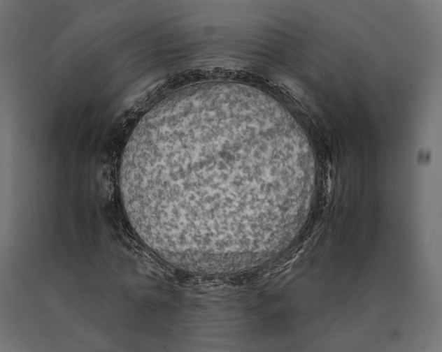 X0000090470774200708031304