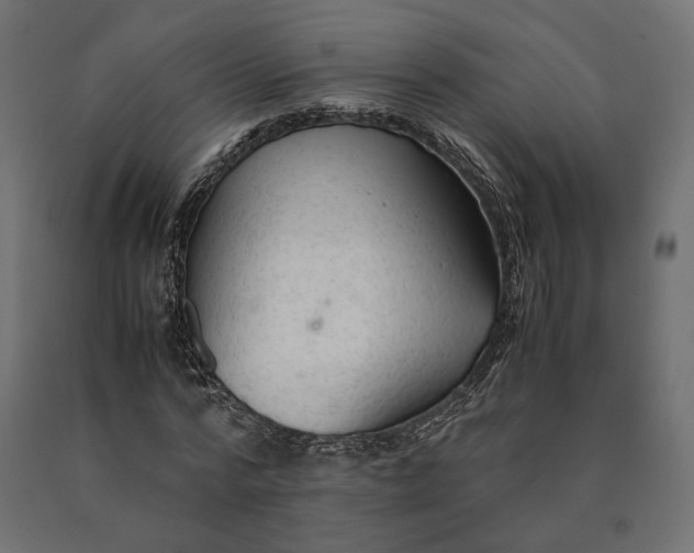 X0000090470776200708031304