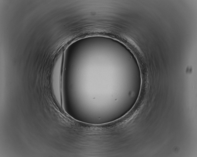 X0000090470777200708031304