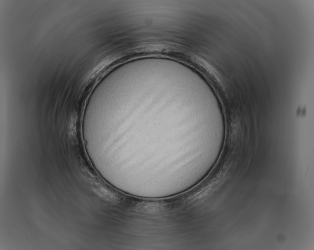 X0000090470778200708031304