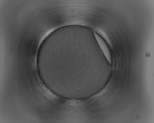 X0000090470780200708031304