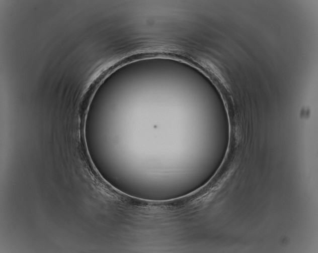 X0000090470781200708031304