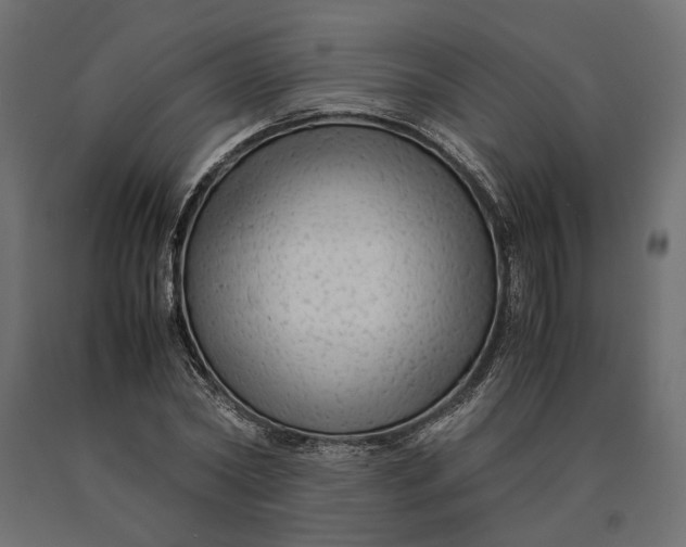 X0000090470782200708031304