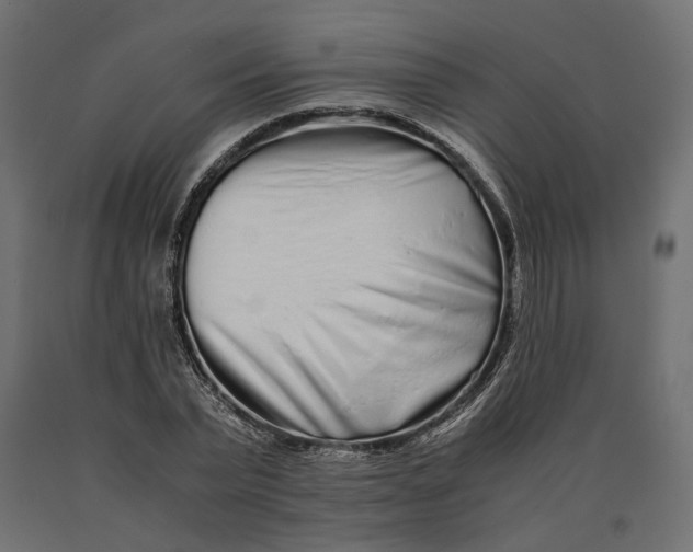 X0000090470783200708031304