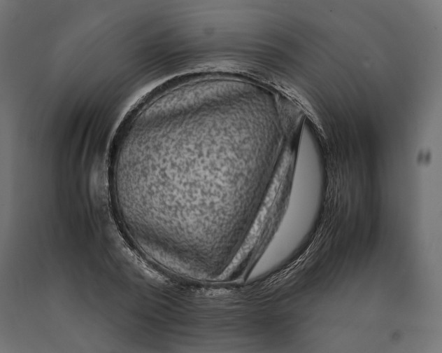 X0000090470784200708031304