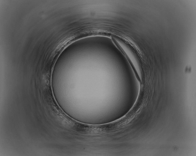 X0000090470785200708031304