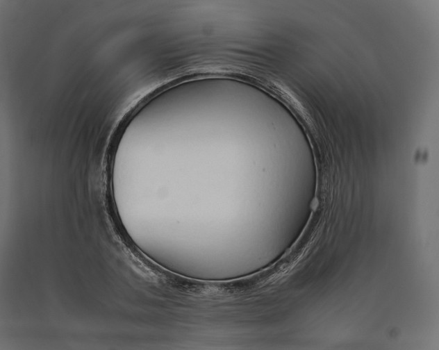 X0000090470787200708031304