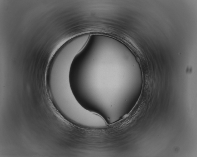 X0000090470788200708031304