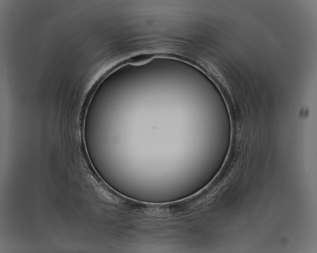 X0000090470789200708031304