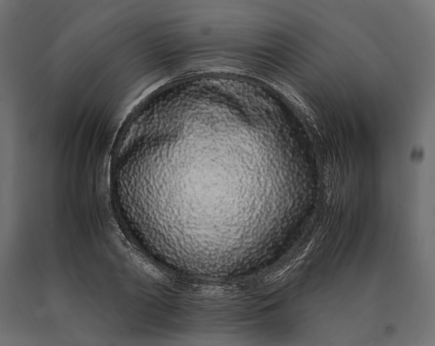 X0000090470790200708031304