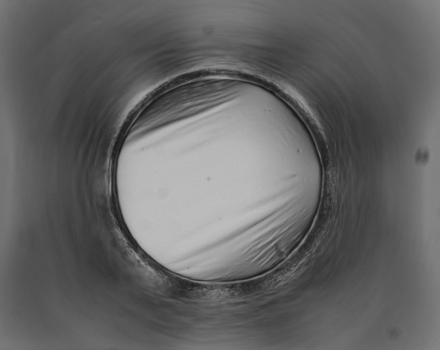 X0000090470791200708031304