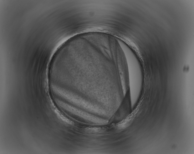 X0000090470792200708031304