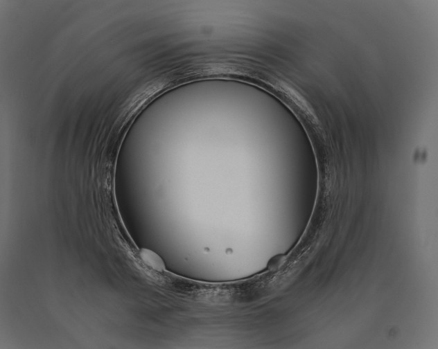 X0000090470793200708031304