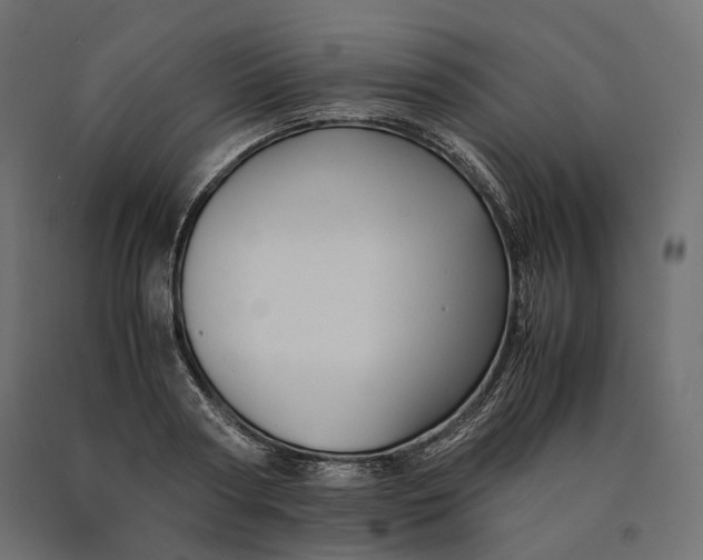 X0000090470794200708031304