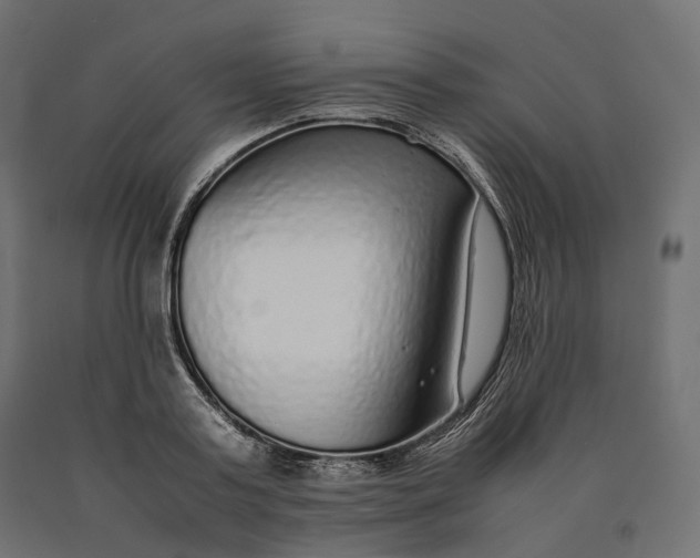 X0000090470795200708031304