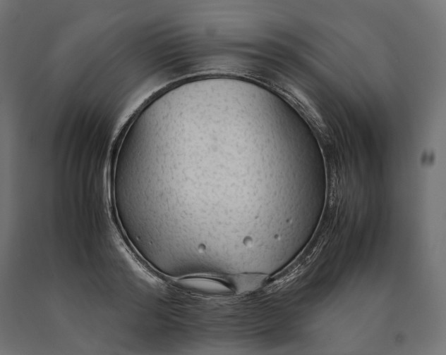 X0000090470796200708031303