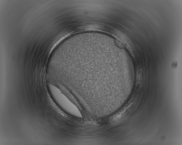 X0000090470798200708031303