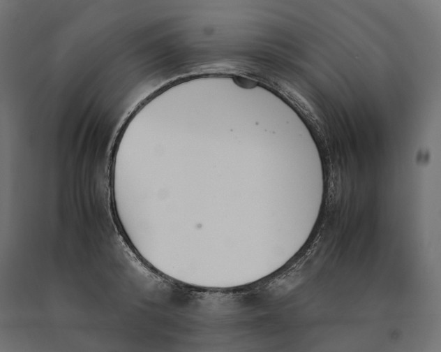 X0000090470800200708031303