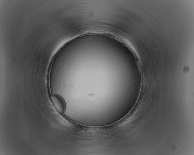 X0000090470803200708031303