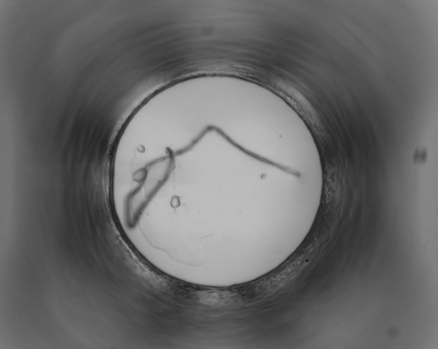 X0000090470804200708031303