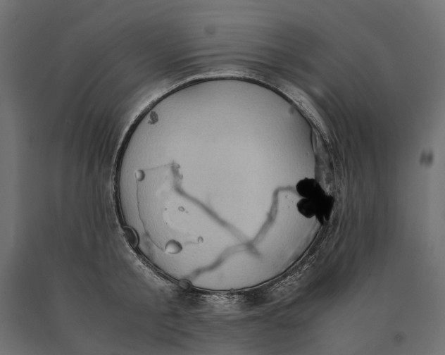 X0000090470805200708031303