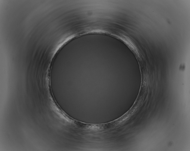 X0000090470806200708031303