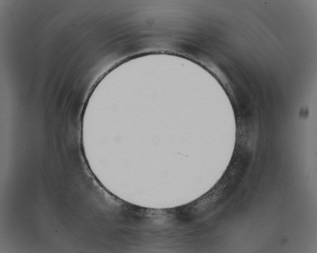 X0000090470807200708031303