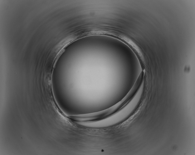 X0000090470809200708031303