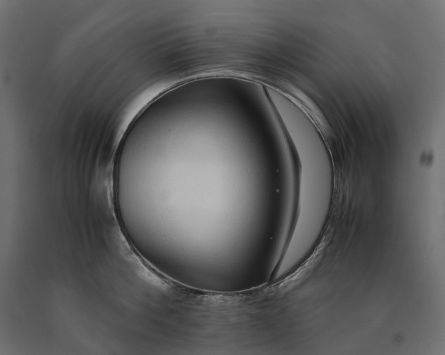 X0000090470812200708031303