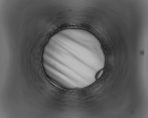 X0000090470817200708031303