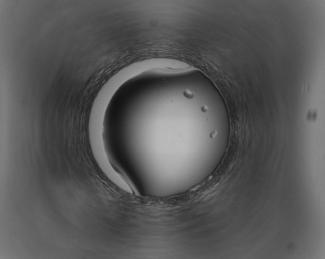 X0000090470818200708031303