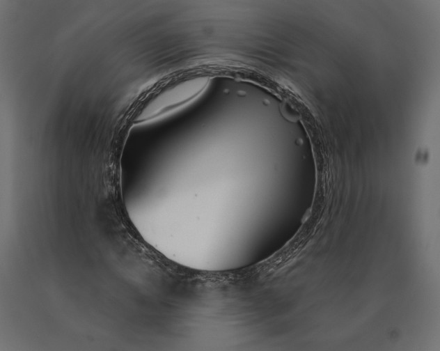 X0000090470822200708031303