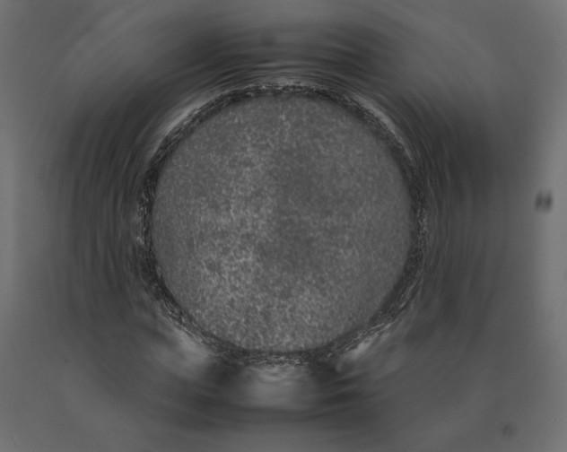 X0000090470823200708031303