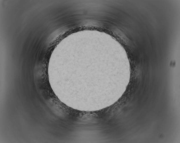 X0000090470824200708031303