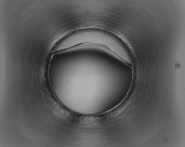 X0000090470826200708031303