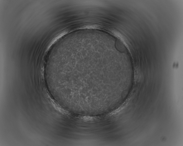 X0000090470827200708031303