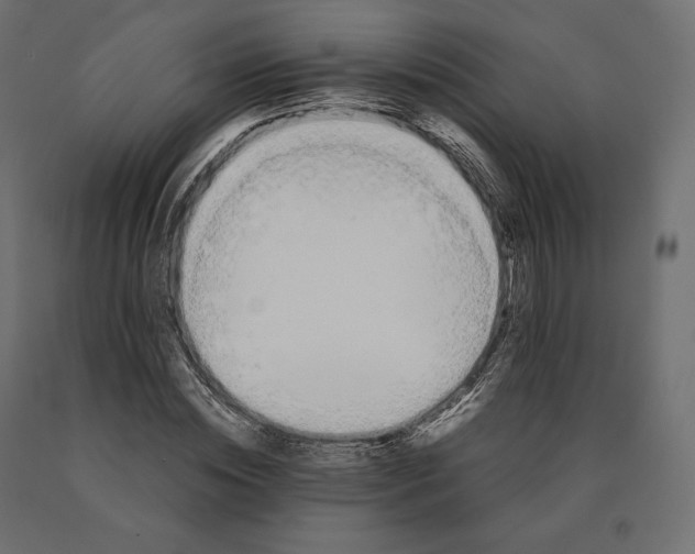 X0000090470828200708031303