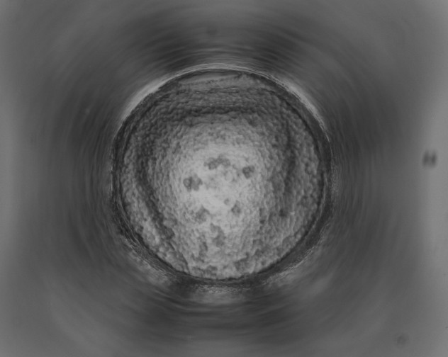 X0000090470829200708031303