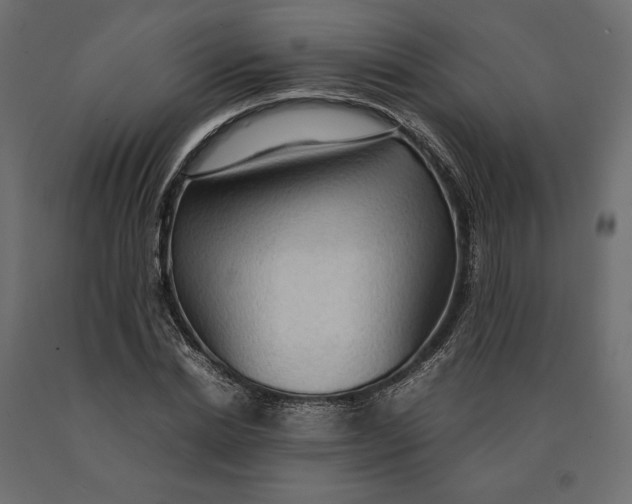 X0000090470830200708031303