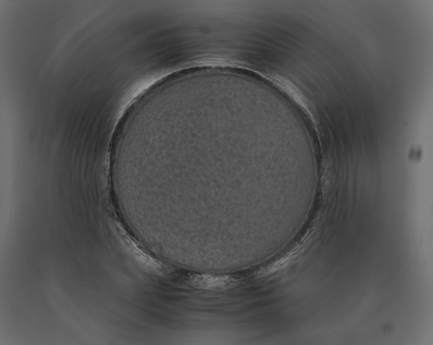 X0000090470831200708031303